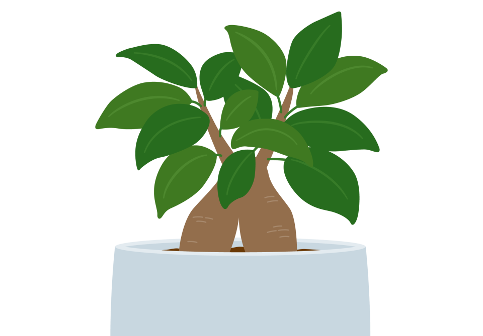 pixta_126879724-960x960